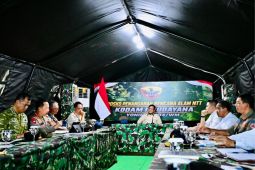 Presiden Prabowo targetkan penghijauan di NTT dalam 10 tahun