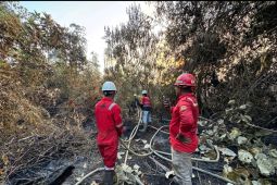 PT Mayawana Persada perkuat tim lapangan dan pengelolaan hidrologi gambut