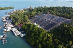 Indef usul pendekatan kawasan energi terbarukan untuk PLTS 30 GWp