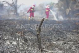 Pemadaman karhutla di lahan gambut Jambi