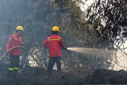 PT WKS dukung Satgas penanganan karhutla di kawasan Pandan Sejahtera