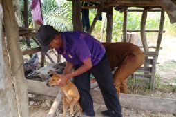 Pemkab Batang Hari ajak masyarakat lndungi hewan peliharaan dari rabies