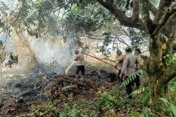 Lahan gambut seluas 13,5 hektare di Singkawang terbakar