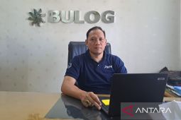 Bulog Bangka serap 980 ton gabah petani Desa Rias