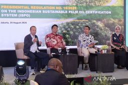 Kemenko Perekonomian: Pekebun sawit wajib sertifikasi ISPO mulai 2029