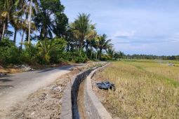 Pariaman targetkan perbaikan irigasi terdampak bencana rampung September