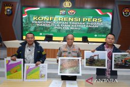 Polda Riau dan jajaran tetapkan 40 tersangka dari 37 perkara karhutla