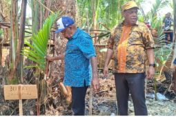 Pemkab Jayapura ajak masyarakat pertahankan sagu sebagai sumber pangan lokal