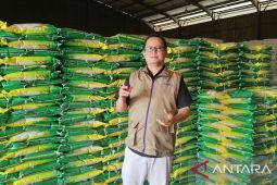 Bulog salurkan 5.000 kg beras SPHP setiap hari kepada 190 mitra di PBD