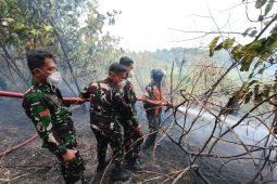 TNI AU kerahkan personel untuk padamkan kebakaran lahan di Balikpapan