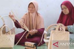 12 desa di Bangka Tengah lolos program Desa Devisa