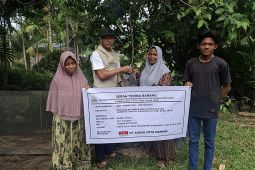 Pemkab Aceh Jaya kembangkan hortikultura seluas 397 hektare