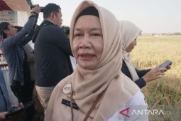 Pekalongan lanjutkan tiga agenda Gerakan Pangan Murah