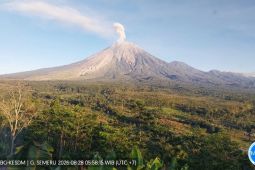 Ada 21 kali gempa letusan Gunung Semeru dalam enam jam