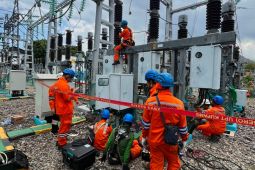 PLN tuntaskan asesmen infrastruktur listrik di Flores pascagempa