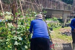 Lapas Narkotika Samarinda libatkan WBP dalam program agribisnis