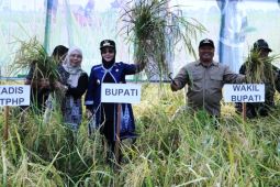 Berau perkuat ketahanan pangan lewat Perda