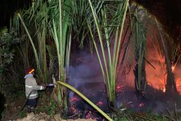 BPBD Aceh Besar rangkul perangkat gampong cegah Karhutla