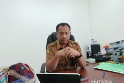 Pemkab Jayawijaya pastikan pengelolaan keuangan transparan dengan "SIPD"