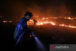 West, Central Kalimantan top priority as fire hotspots rise: Minister