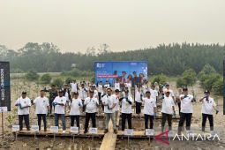 Angkasa Pura tanam 14.000 pohon mangrove di Kubu Raya Kalbar