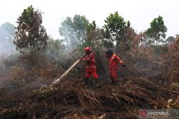 Tim Manggala Agni terus berjibaku padamkan karhutla Rasau Jaya