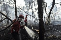 Pemadaman karhutla di Hutan Lindung Gambut Londerang