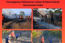 BPBD Bali bersiaga hadapi luasan dampak musim kemarau