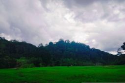 Agam usulkan 1.000 hektare lahan terlantar diaktifkan kembali ke pusat