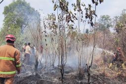 Tim gabungan Penajam Paser Utara padamkan 79 karhutla hingga Agustus