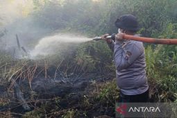 Pemkab Kotim berupaya maksimal tangani karhutla hingga ke desa