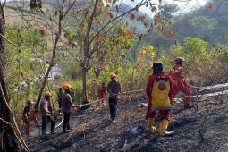 Satbrimob dan petugas gabungan padamkan karhutla di Bonebae 2