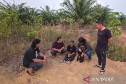 Polisi amankan terduga pelaku pembunuhan wanita di Desa Kace Bangka