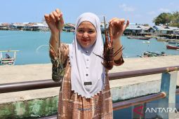 Pengepul lobster kembangkan kuliner untuk tambah nilai hasil laut