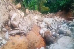 Pemkab Pasaman Barat percepat pembangunan daerah irigasi