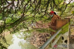 Bupati HST pastikan segera normalisasi Sungai Barabai