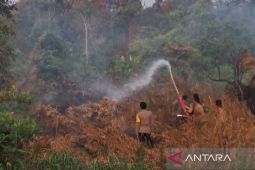 Polres Bangka Tengah tangani karhutla 20 hektare di Tanjung Pura