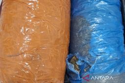 Polres Tapsel gagalkan peredaran 2 Kg ganja