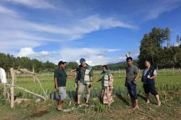 BRMP Aceh monitoring program strategis Kementan di Gayo Lues