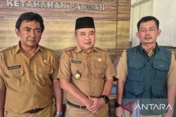 Pemkab Sumedang mengoptimalkan irigasi tersier jaga produksi padi
