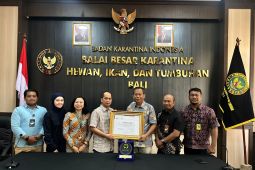 Karantina Bali raih penghargaan usai gagalkan perdagangan ilegal ribuan burung liar