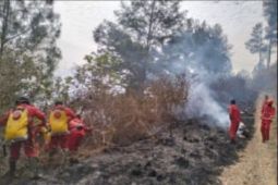BPBD Sumut catat 248,22 hektare lahan terbakar  Januari-Agustus 2026