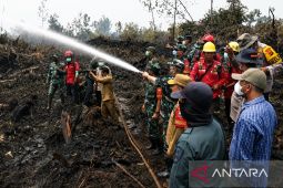Gubernur Jambi-Pangdam apresiasi satgas karhutla di HGL Londerang