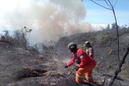 Karhutla hanguskan 600 hektare di kawasan lereng Gunung Semeru