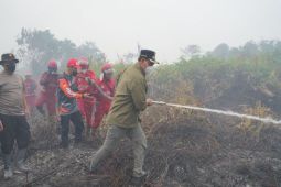 Bupati Sahalahuddin turun ke lokasi penanganan karhutla di Desa Trahean