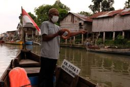 MSC: Pelaku usaha seafood kian responsif terhadap produk berkelanjutan