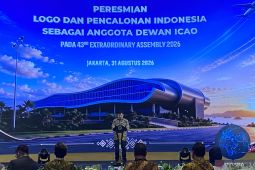 RI membawa agenda kapasitas SDM hingga penerbangan berkelanjutan