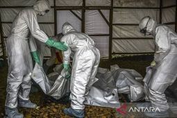 Ebola di Kongo jadi 6.100 kasus
