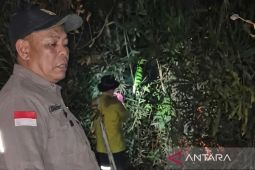 Plt Kadishut Kaltim turut padamkan karhutla Tahura Bukit Soeharto