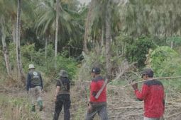 Temukan titik api, BKSDA Maluku patroli cegah karhutla di sekitar Cagar Alam Pulau Larat